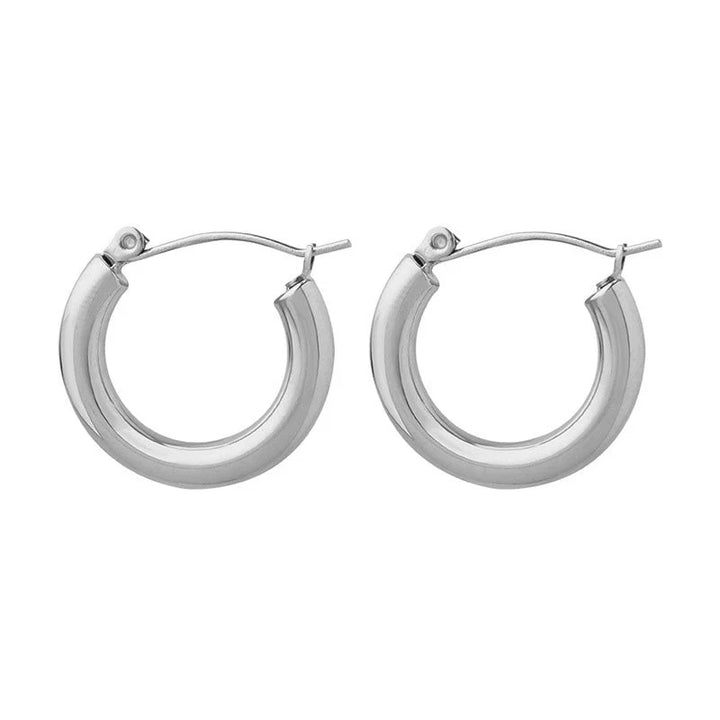 Loop Earrings