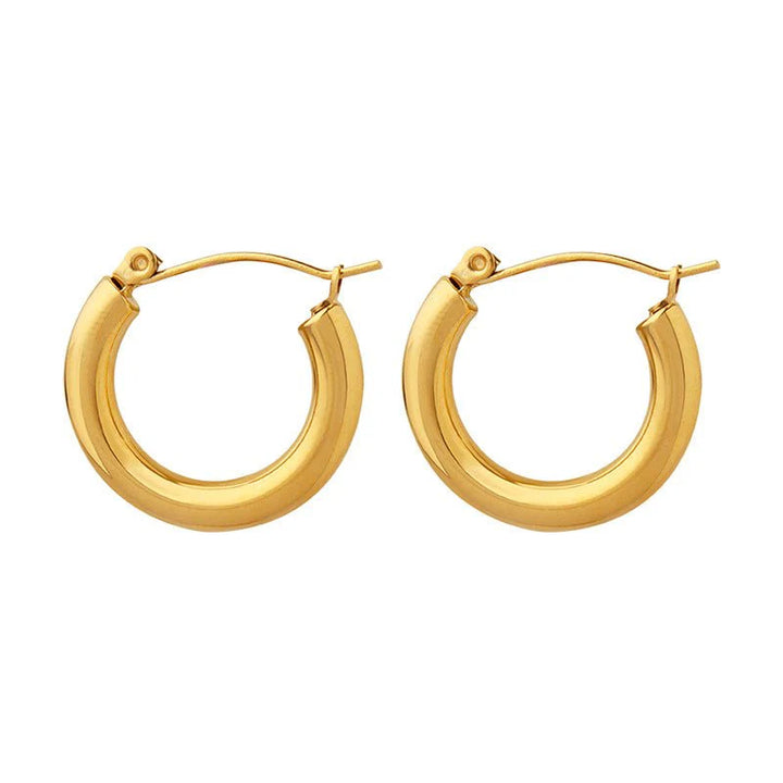Loop Earrings